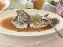 -骏莱海鲜鱼港(五角场店)