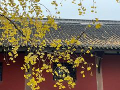 -宝光寺
