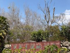 -洱海月湿地公园