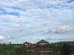 -漩门湾国家湿地公园