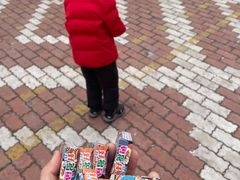 -哈尔滨市妇联幼儿园