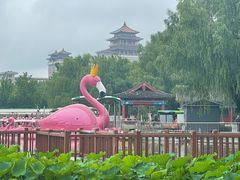 -莲花池公园
