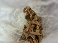 -张记卤菜店(三条巷店)