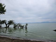 -捞渔河湿地公园