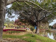 -南沙蒲洲花园