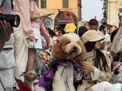 -华谊兄弟（长沙）电影小镇