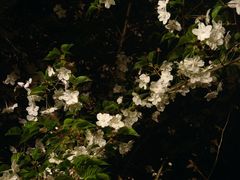-北岭山森林公园