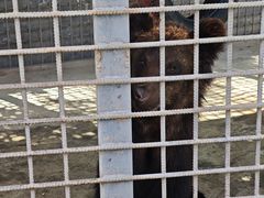 -水上乐园·欢乐世界