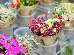 -鹿岛生活(龙湖上城天街店)