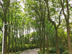 -宜兴龙背山森林公园