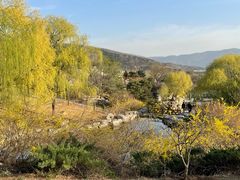 -北京西山国家森林公园