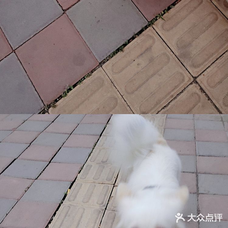 最火彩电塔夜市攻略[加油][加油][加油]