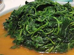 清炒时蔬-天福苑(崇宁路店)