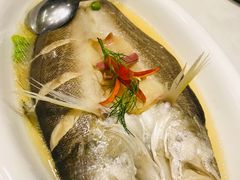 -香浙汇(望京店)