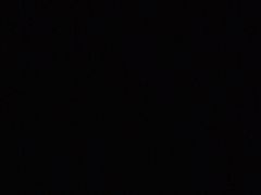 -南汇老顾农家乐采摘大团水蜜桃采摘店