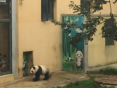 -西安秦岭野生动物园