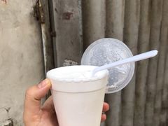 -洪馨椰子