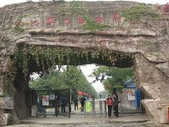 -合肥野生动物园