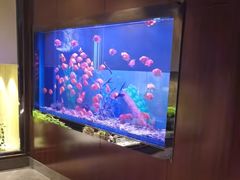 -九洲喜来登酒店湖月日餐厅