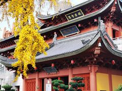 -上海东林寺(金山区)