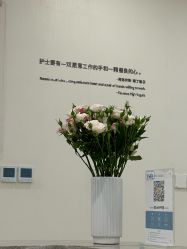 -智美品质医美