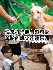 -宝燕乐园(闵行旗舰店)