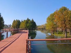 -贡湖湾湿地公园