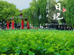 -四川大学(望江校区)