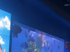 -重庆欢乐海底世界
