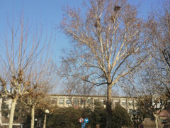 -山东大学(趵突泉校区)