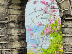 -求水山公园