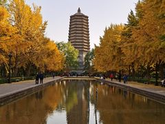 -玲珑塔公园