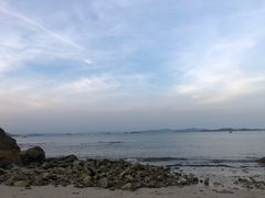 -杨梅坑