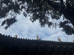 -建水文庙