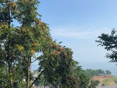 -金沙滩度假村