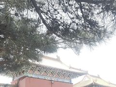 -北陵公园