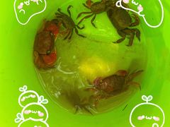 -上海吴淞炮台湾国家湿地公园