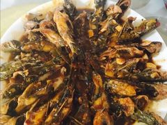 -金台阶鱼馆(于桥水库店)