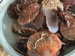 小个扇贝-雅逸居海鲜小厨