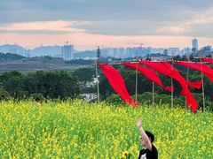 -光明小镇欢乐田园