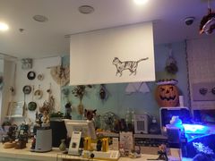 -平行世界·猫咖(首经贸店)