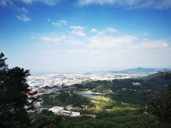 -江东鲈鱼馆(正江东)