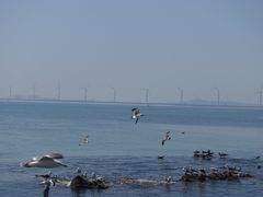 -那香海钻石沙滩浴场