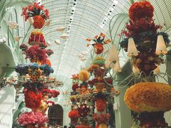 -拉斯维加斯永利酒店