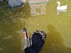 -厦门日月谷温泉渡假村