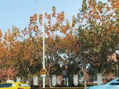 -复旦大学附属华山医院(浦东院区)