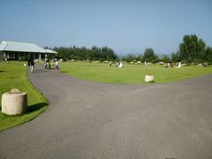 android_upload_pic-中国唐苑