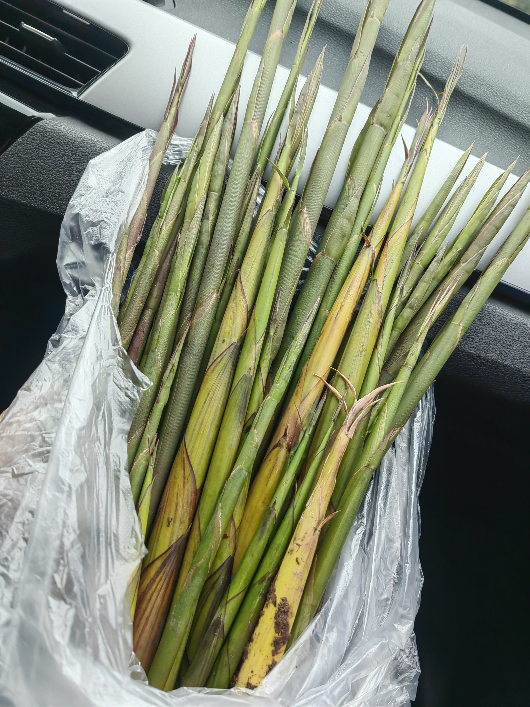 路边拔的小笋,到家赶紧剥出来让老妈炒了满满一锅炒面