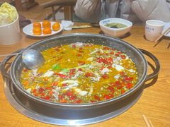 -南山渔美蛙鱼·老鸭汤·火锅(成都大邑店)