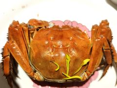 3两公蟹-蟹榭(静安寺晶品商场店)